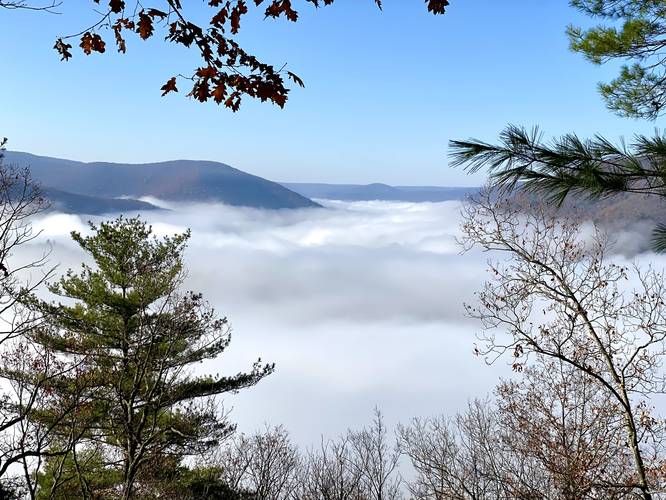 Vista facing south into PA Grand Canyon from Bull Run Point