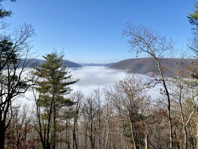 Vista facing south into PA Grand Canyon from Bull Run Point