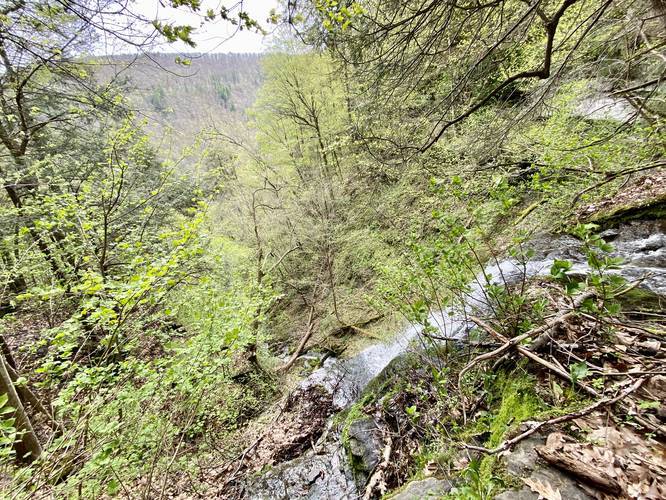 Burdic Run Falls Trail