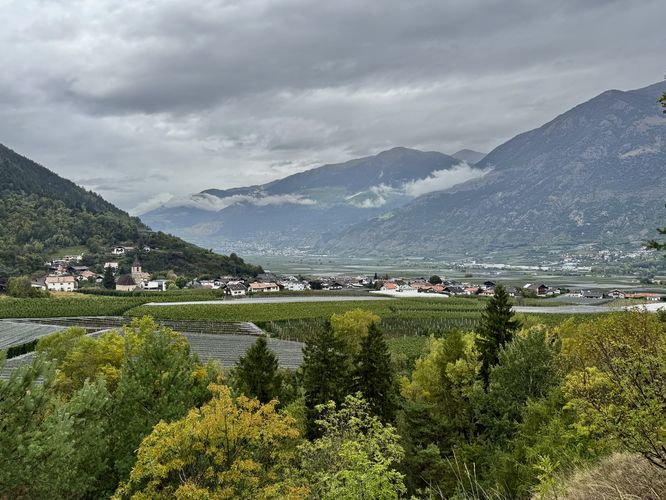 Vineyards and apple orchards fill the valley below the Italian Alps of South Tyrol