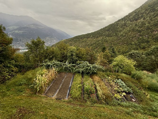 Tended garden next to Montani di Sopra