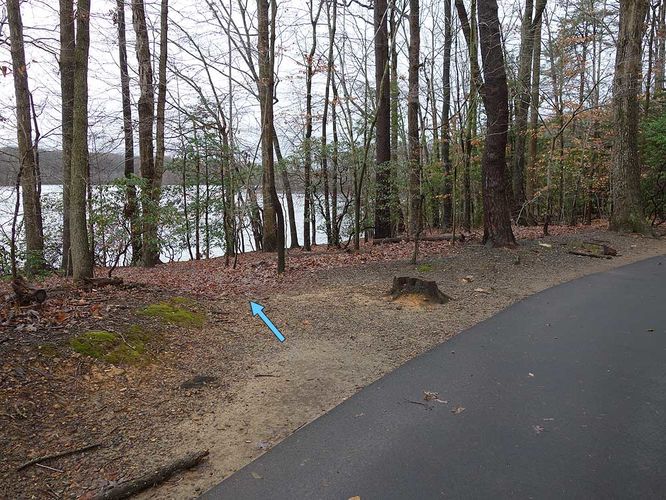 Picture 4 of Burke Lake Hike 122415