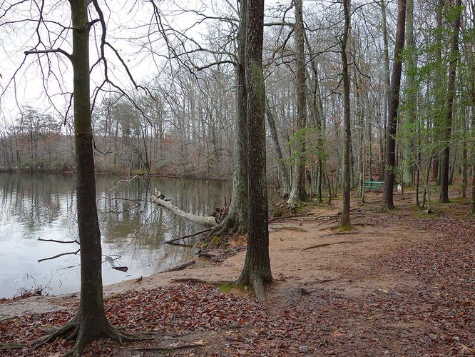 Picture 6 of Burke Lake Hike 122415