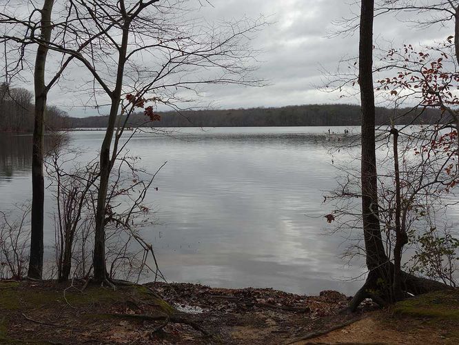 Burke Lake Loop Hike - Burke Lake Hike 122415 album