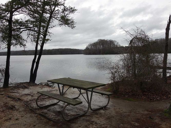 Picture 8 of Burke Lake Hike 122415