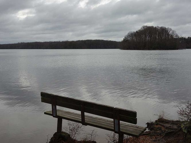 Picture 9 of Burke Lake Hike 122415