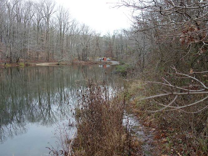 Picture 11 of Burke Lake Hike 122415