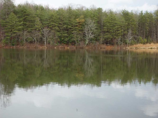 Picture 19 of Burke Lake Hike 122415