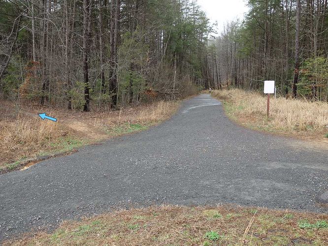 Picture 20 of Burke Lake Hike 122415