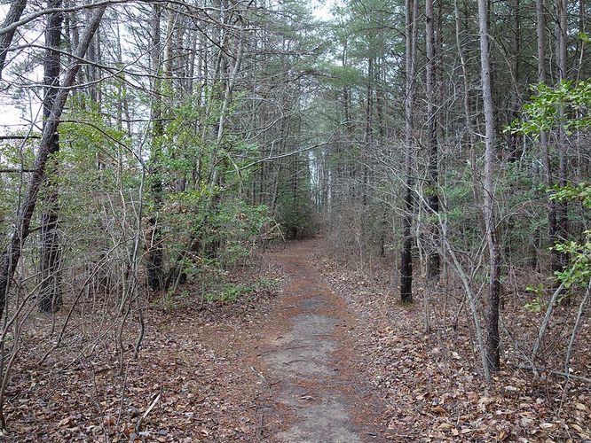 Picture 21 of Burke Lake Hike 122415