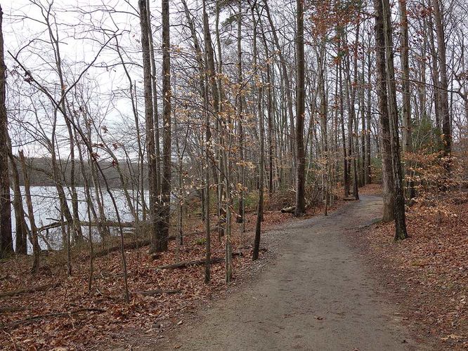 Picture 25 of Burke Lake Hike 122415