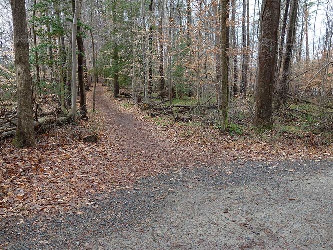 Picture 26 of Burke Lake Hike 122415