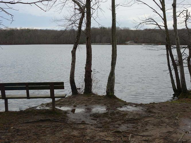 Picture 27 of Burke Lake Hike 122415