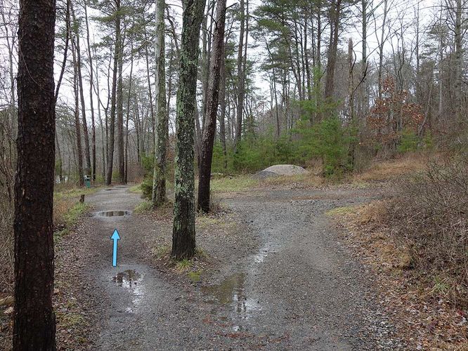 Picture 28 of Burke Lake Hike 122415