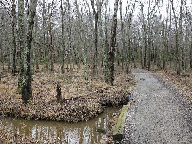 Picture 30 of Burke Lake Hike 122415