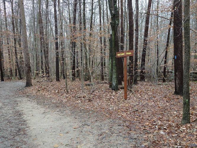 Picture 31 of Burke Lake Hike 122415