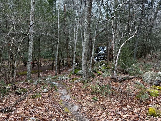 Discrete trail leads to Burlington Falls