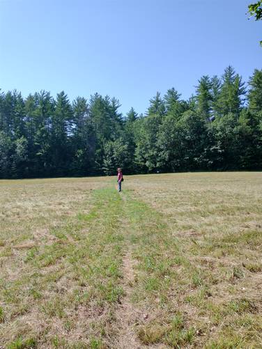 The trail passes through a very large hay field, luckily it had been mowed