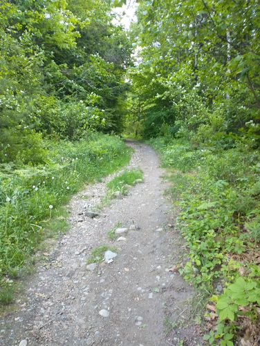 Trail substrate