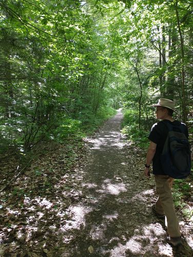 Dense forest along the trail offers lovely shade