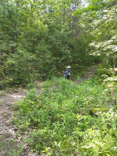 Turn in trail with no signage
