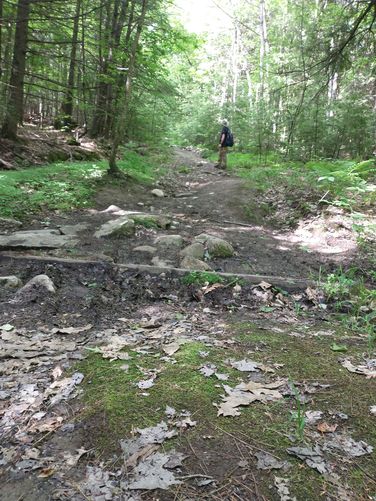 Muddy areas and more rocks in trail