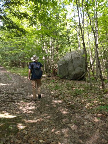 Large rock erratic alongside the trail