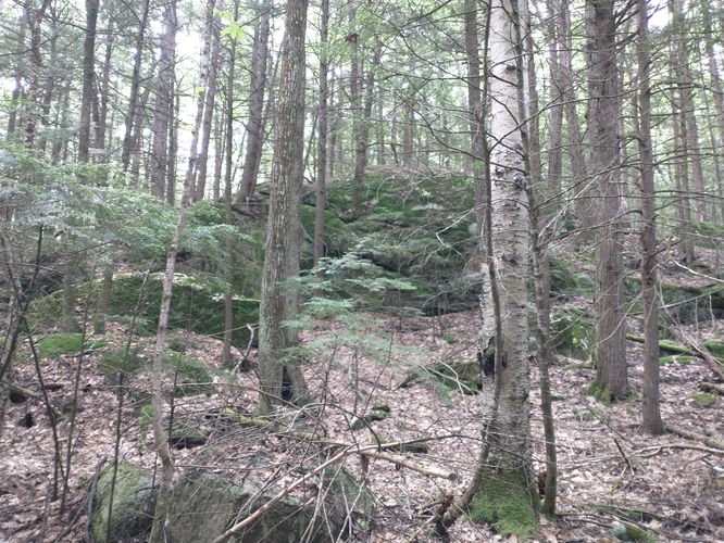 Large section of Ledge can be seen from the trail