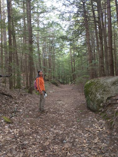 Change in trail substrate