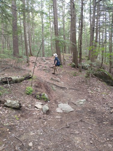 Burnt Mountain Loop Trail begins with no sign at junction