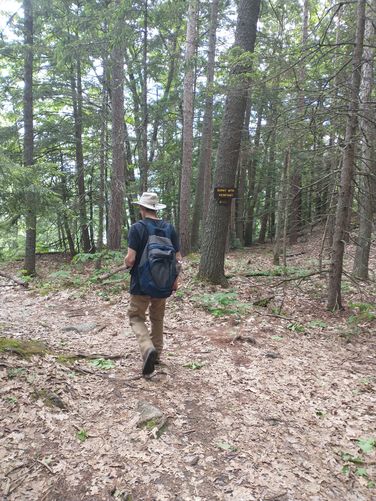 Short hike to the lookout