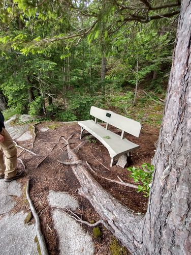 Bench for rest 