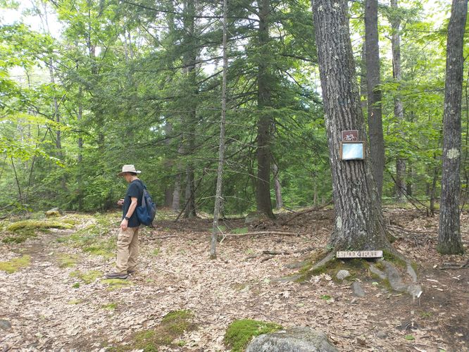 Junction of Hemlock Trail