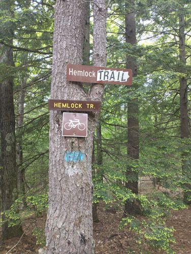 Trail Signs and trail blaze