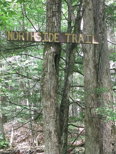 Trail marker