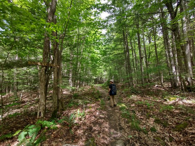 Substrate of trail