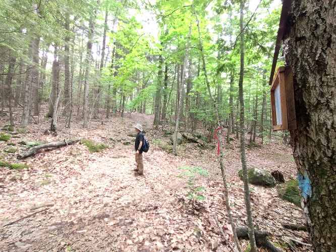 Water Tower Trail from Northside Trail