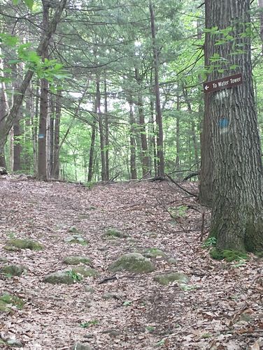 Trail sign and incline begins 