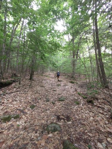 Trail substrate
