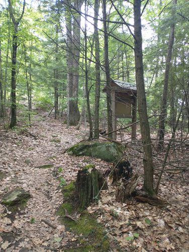 Kiosk beside the trail