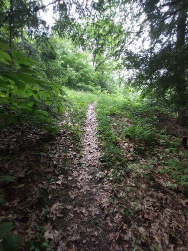 Narrow path to the Water Tower Access road