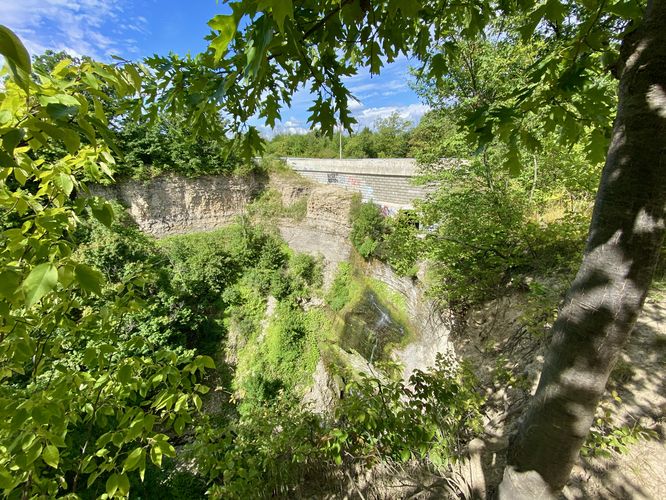 Buttermilk Falls - Buttermilk Falls Hamilton album