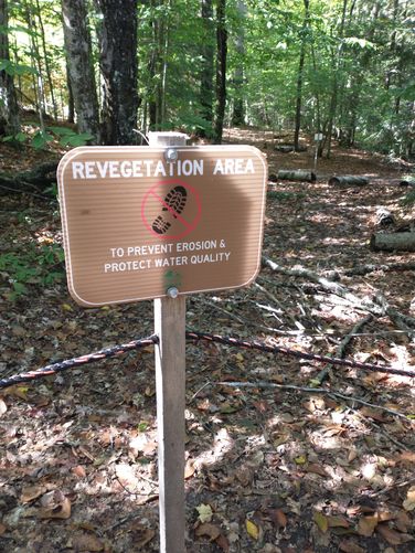 Please stay in between the roped path