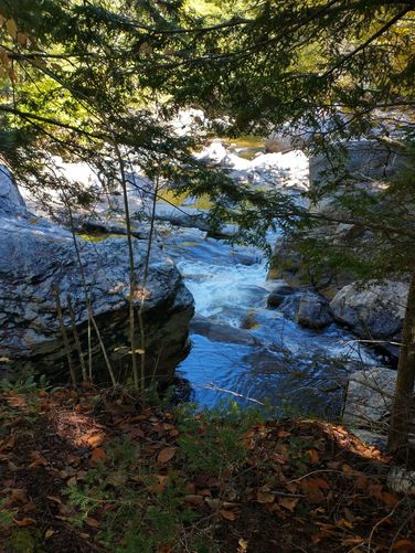 Views of the Lower Falls from the trail 