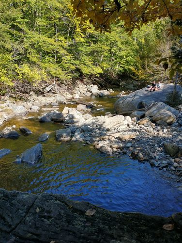 Pool of the Lower Falls 