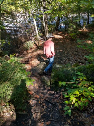 Rocky trail substrate 
