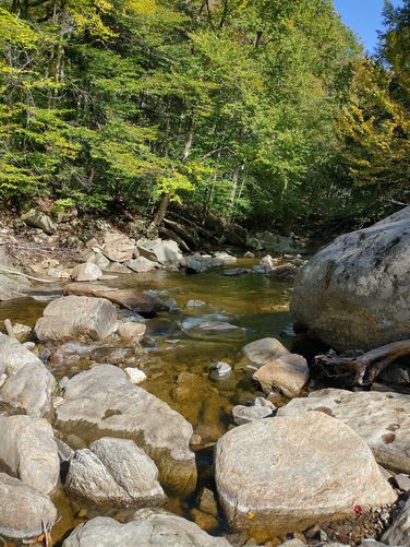Branch Brook after the Lower Falls 