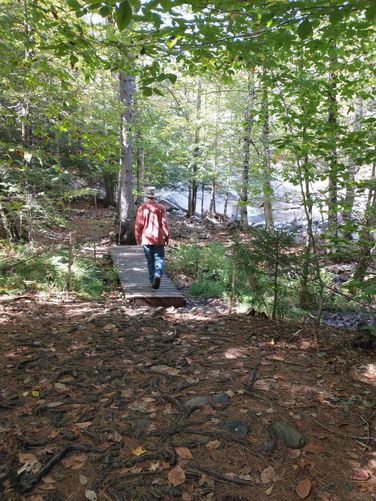 Boardwalk to assist hikers 