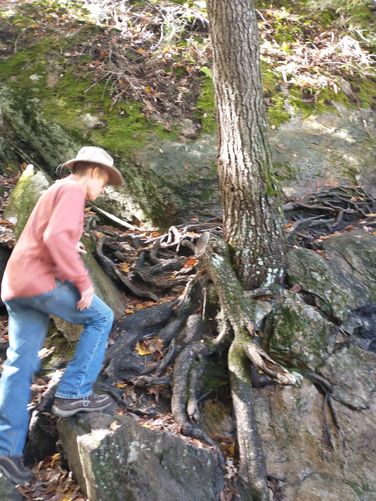 The hike to the Upper Falls is a challenge 