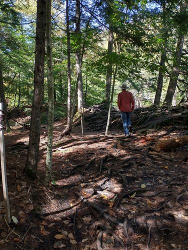 Trail substrate 